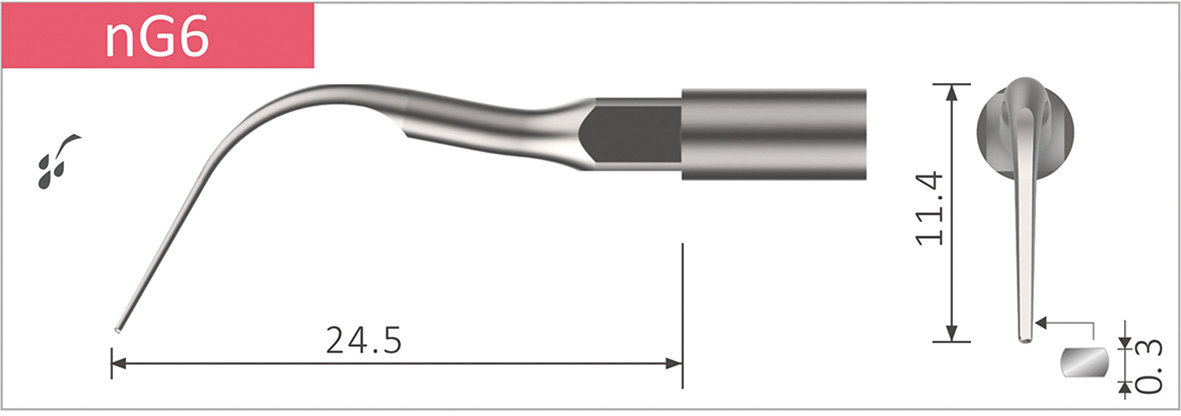 Simplee Scalerspets NSK, NG6