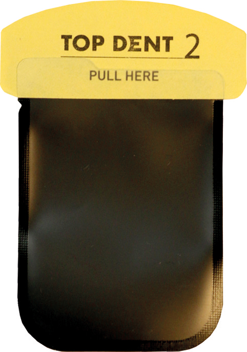 Top Dent Hygienskydd bildplatta Strl 2