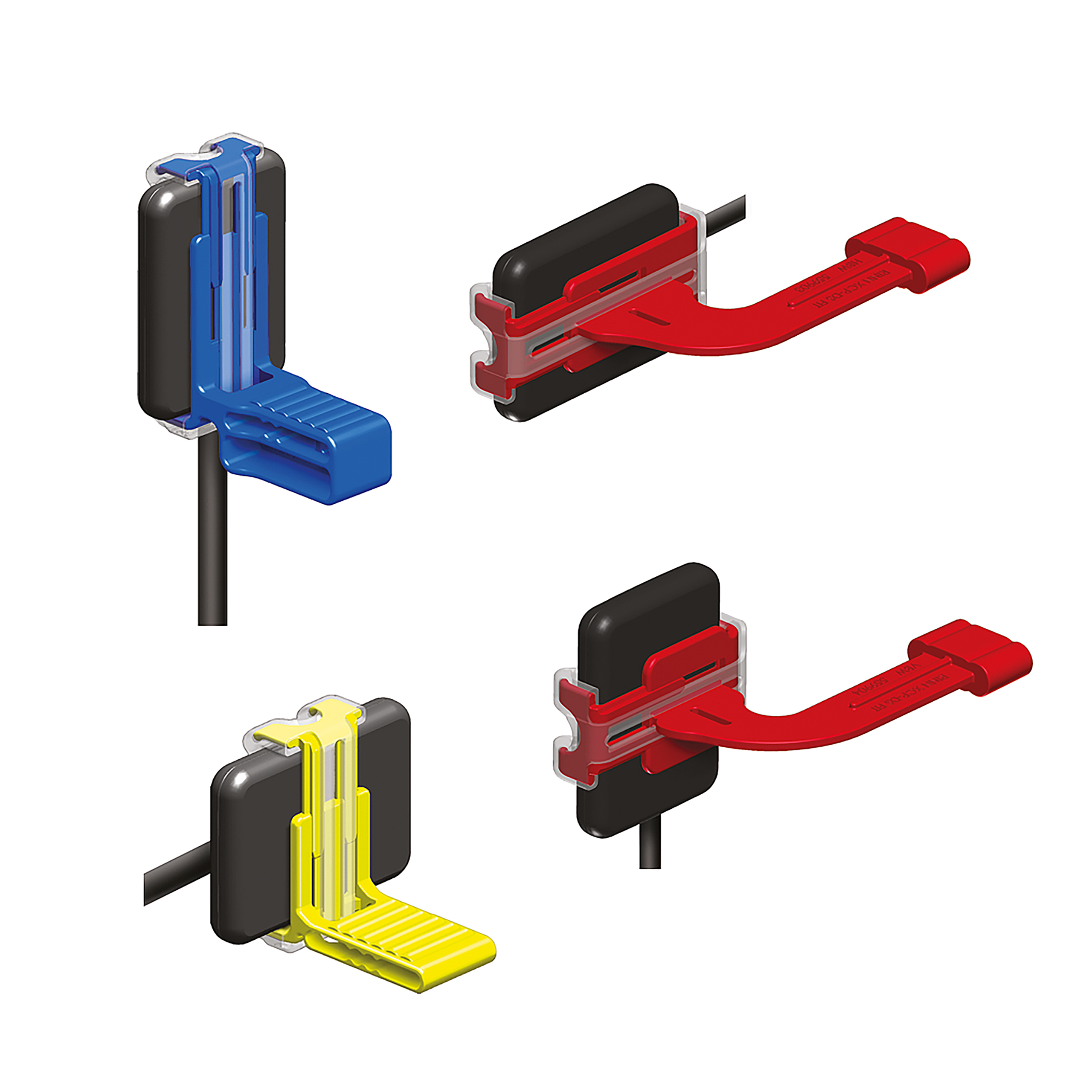 RINN XCP DS Intro kit