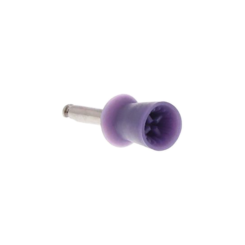Simplee Prophy Cup Purple Medium, Vst.24 st