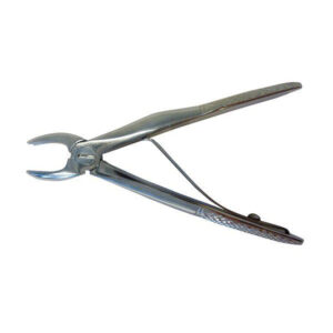 Top Dent Extraktionstång, Barn, Canine