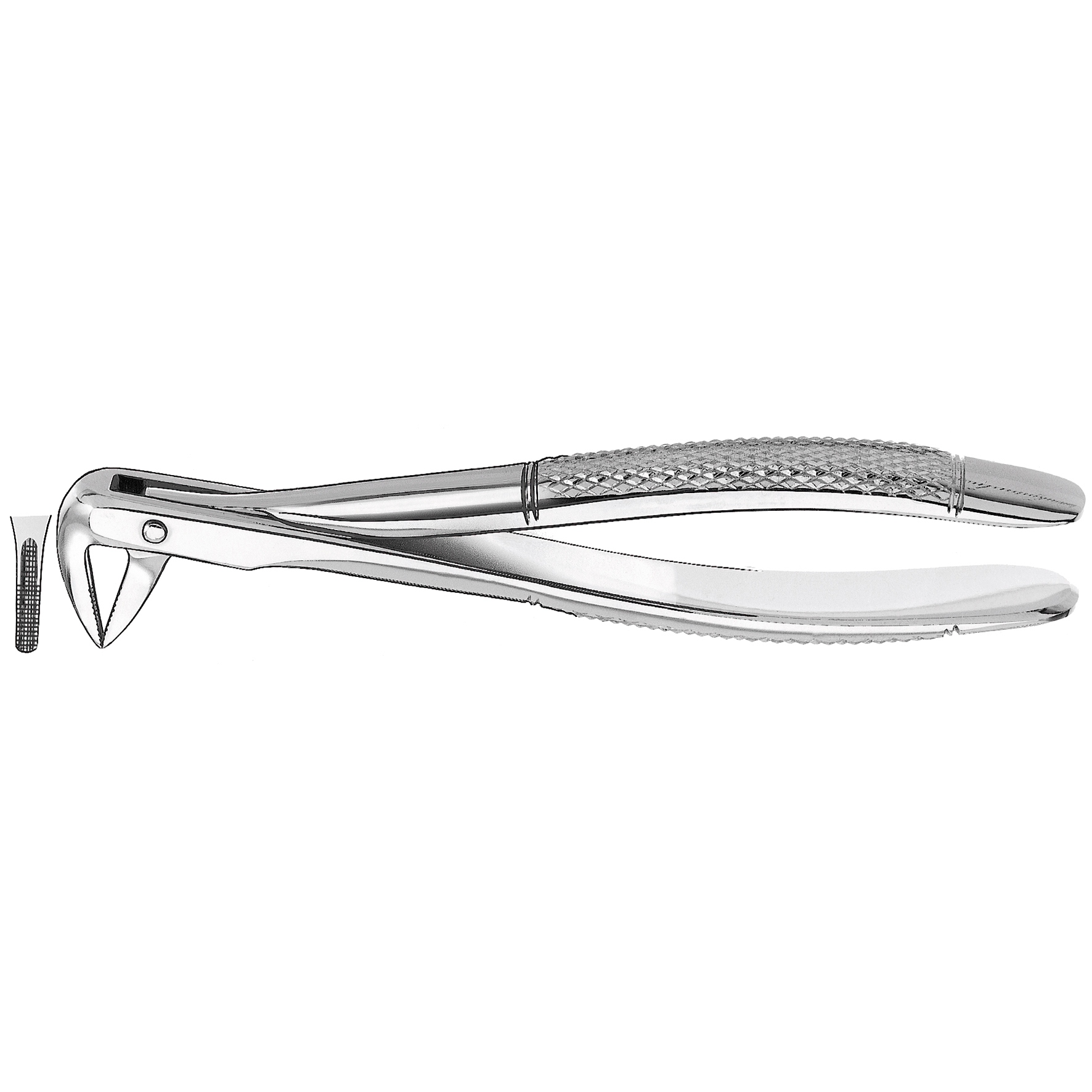 Top Dent Extraktionstång, X74N uk rottång