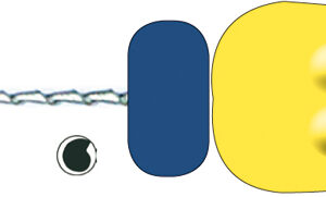 IMD H-Filar, Nr 20, 31 mm