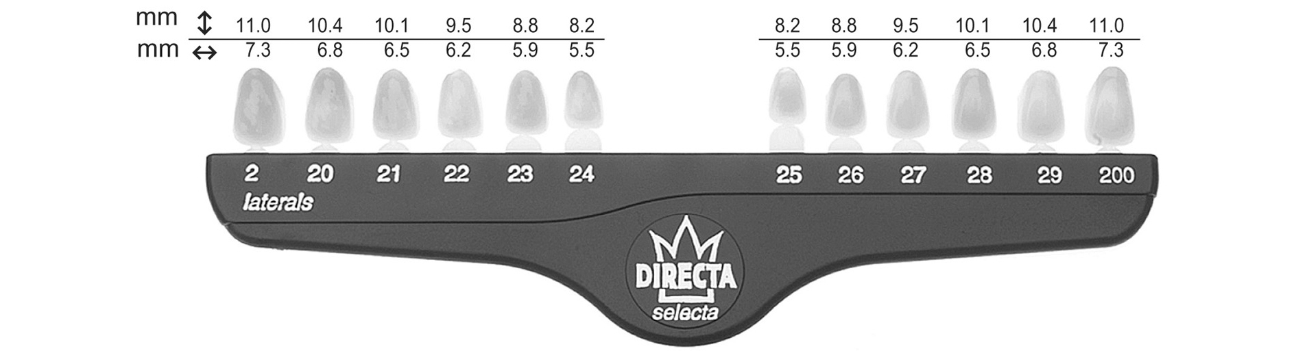 Directa kronor lateraler Nr 23