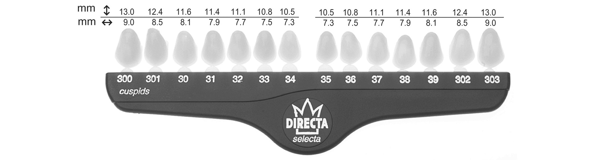 Directa kronor cuspider Nr 33