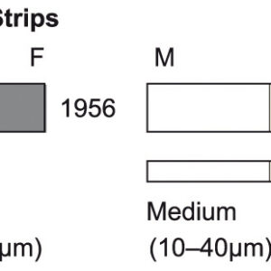 Sof-Lex Polerstrips Nr 1954-N, 178 x 2 mm Coarse-Medium, vit/beige