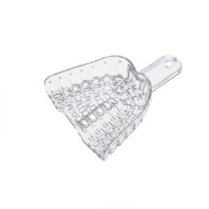 President Tray Medium nr 3