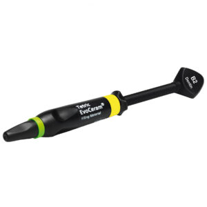 Tetric Evoceram Spruta Dentin B2, 1x3 g