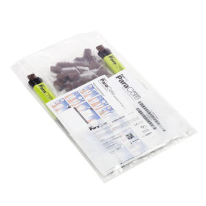 Parapost Paracore Dentin