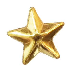 Twinkles, Stjärna stor guld