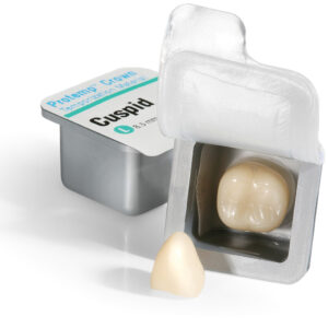 Protemp Crown Cuspid large